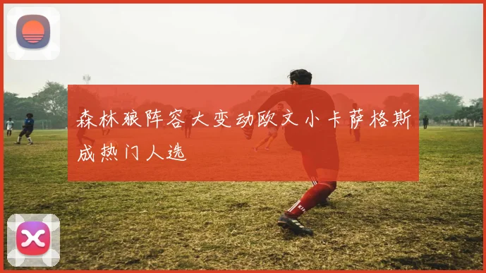 森林狼阵容大变动欧文小卡萨格斯成热门人选