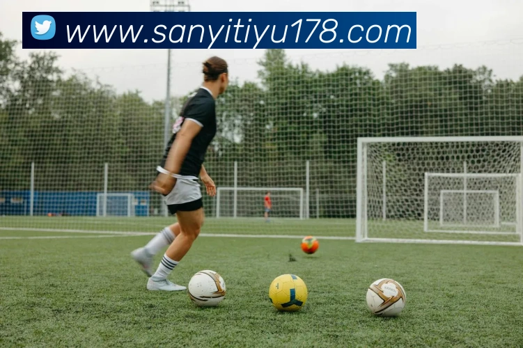 三亿体育服务体系